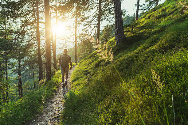 Senior man trail hiking in the forest